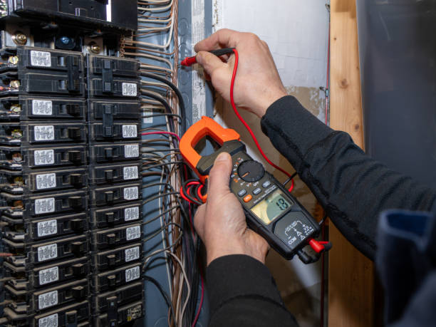 Best Ceiling Fan Installation Electrician  in Lmar, DE